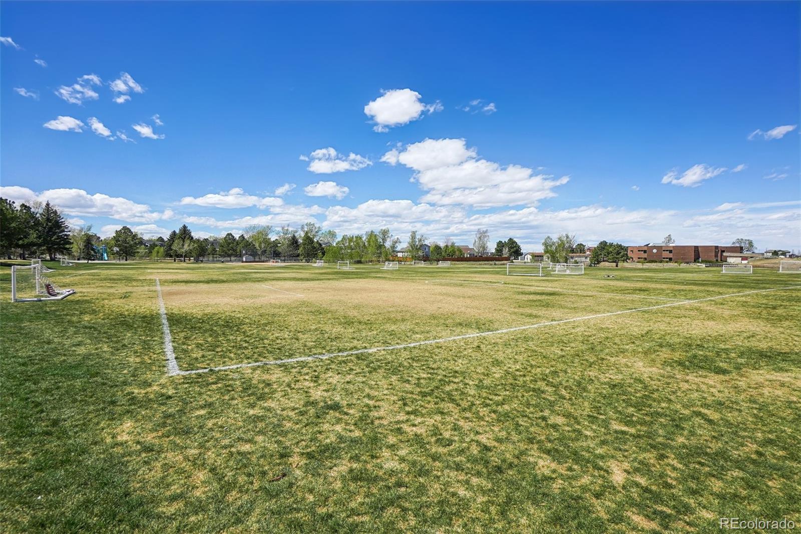 5290 E Kensington Avenue Castle Rock CO 80104