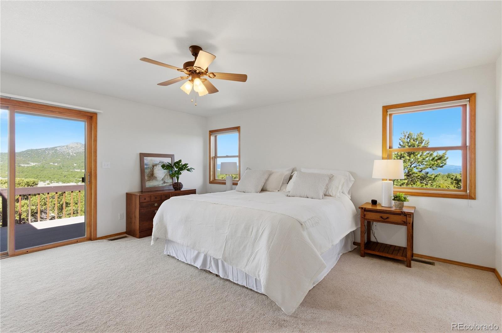 90 Riggs Road N Westcliffe CO 81252