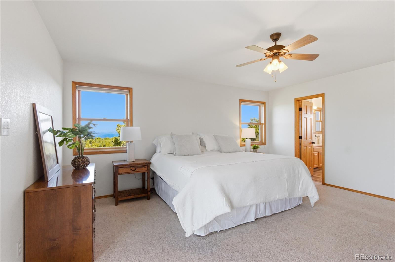 90 Riggs Road N Westcliffe CO 81252