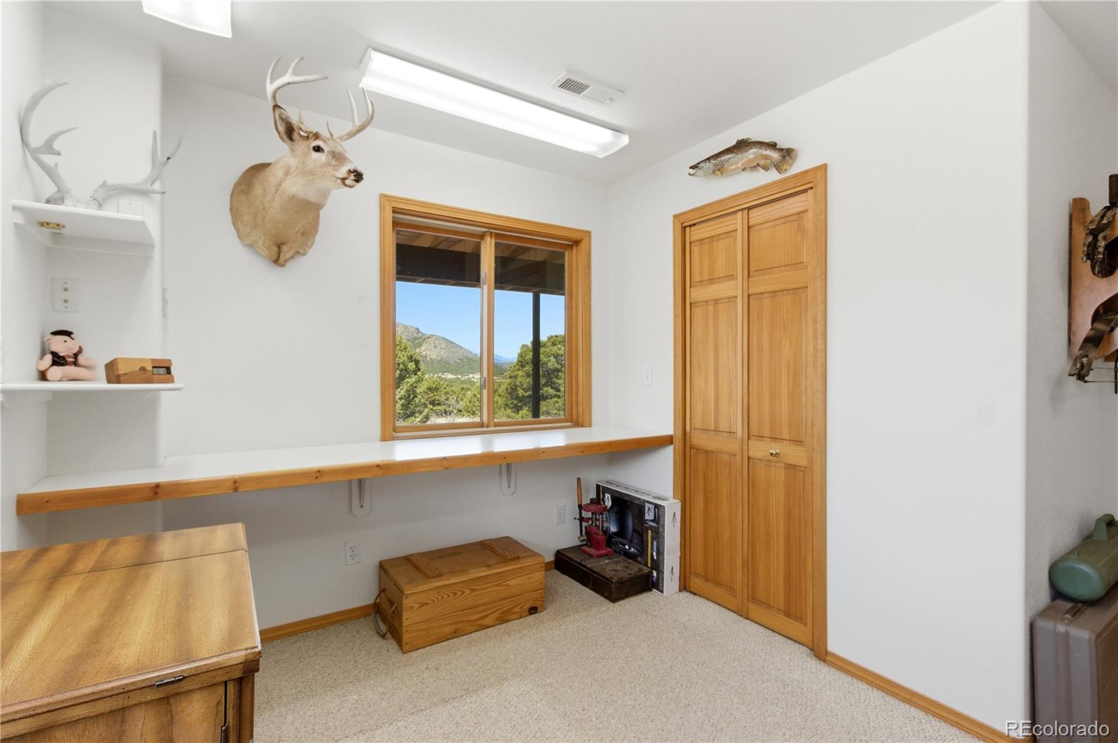90 Riggs Road N Westcliffe CO 81252