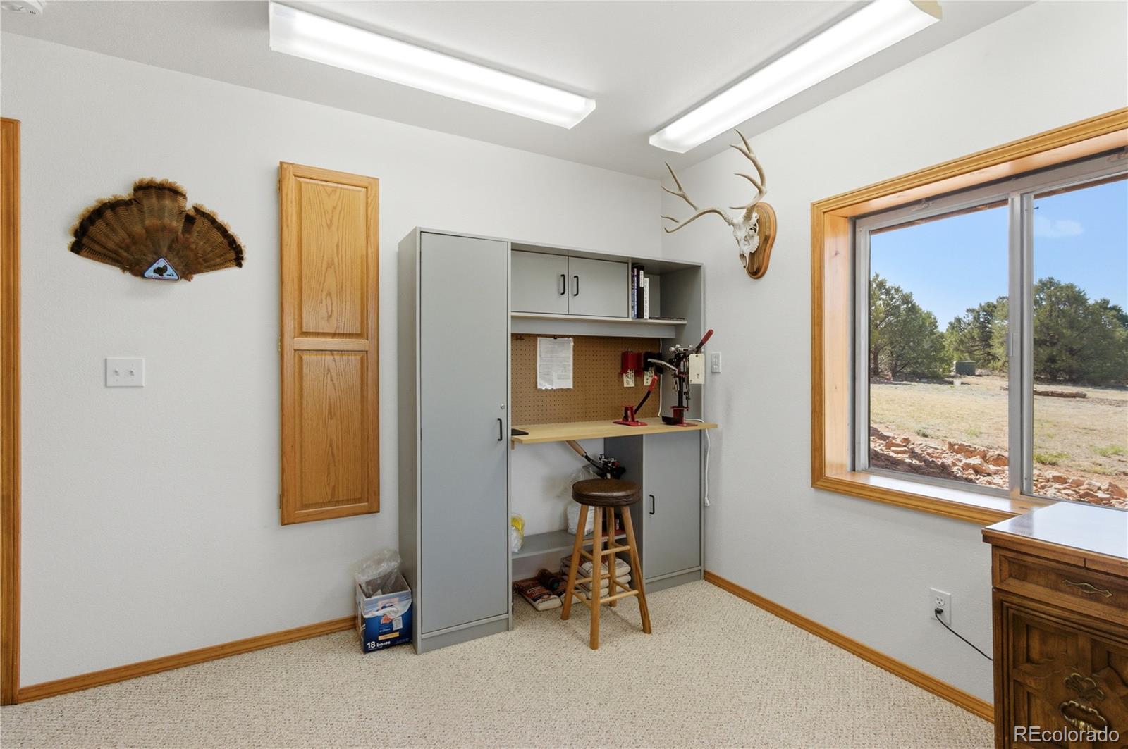 90 Riggs Road N Westcliffe CO 81252