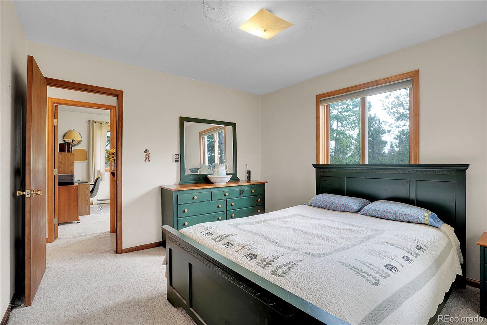 10951 Kitty Drive Conifer CO 80433