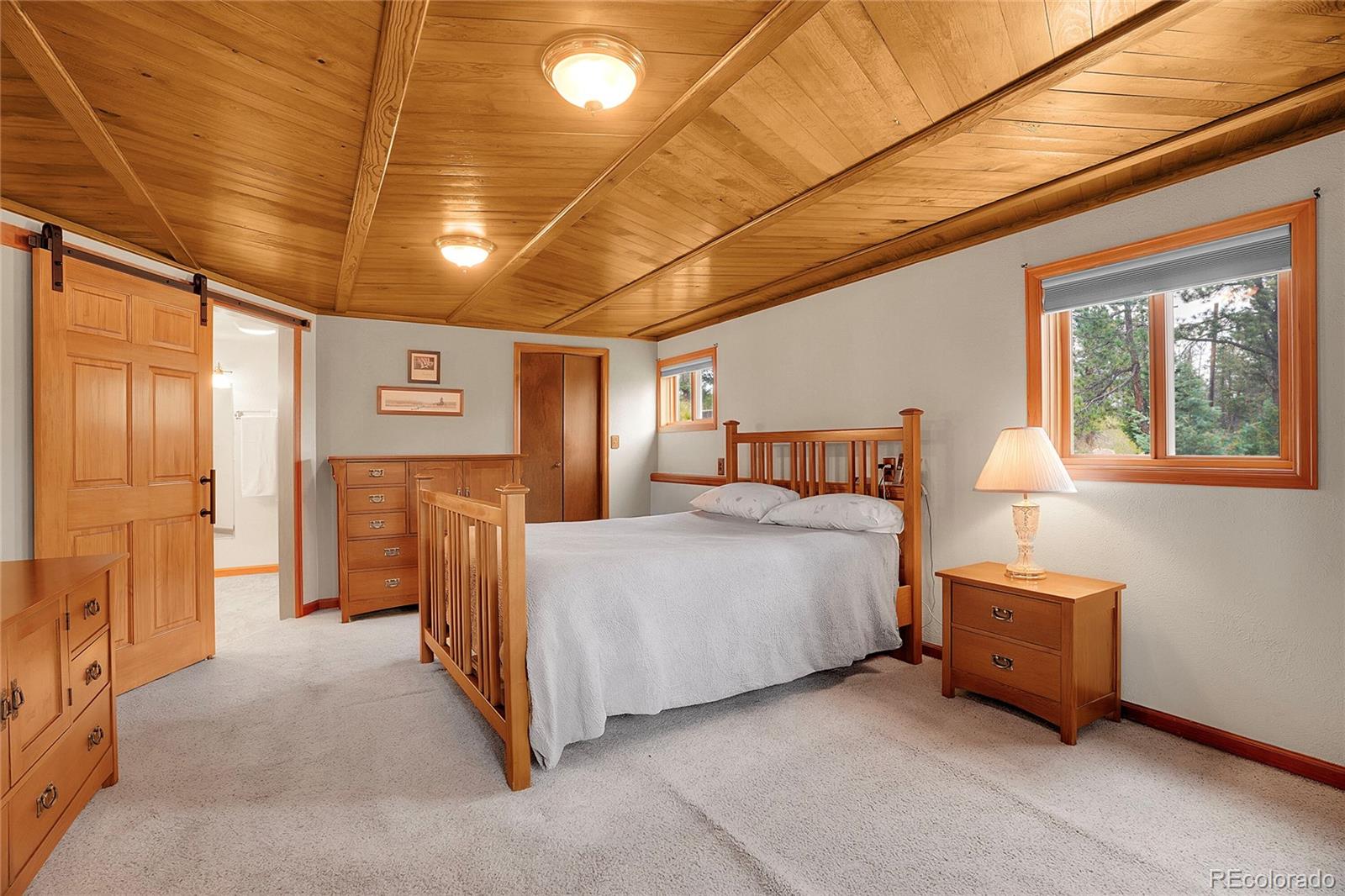 10951 Kitty Drive Conifer CO 80433