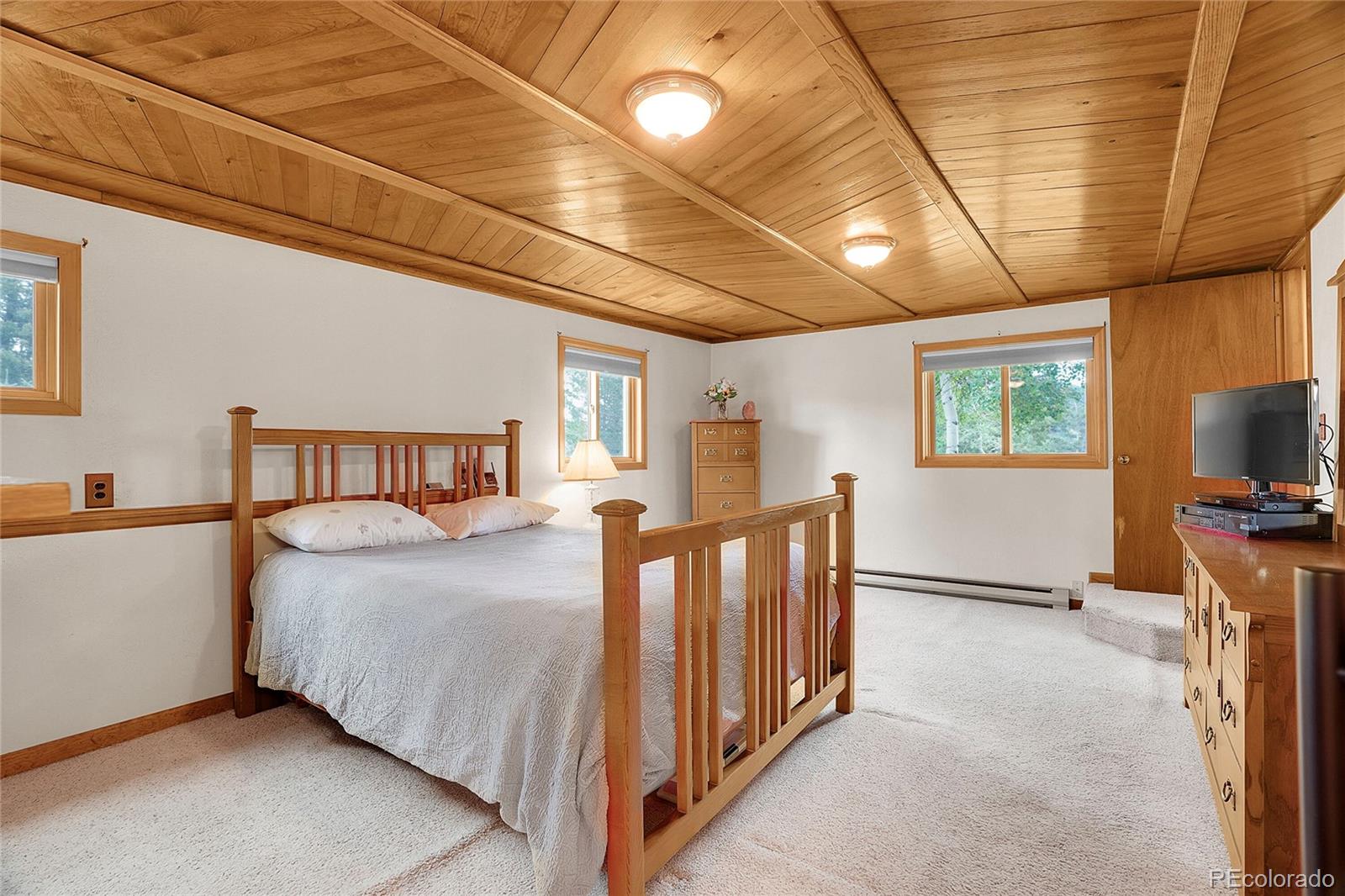 10951 Kitty Drive Conifer CO 80433