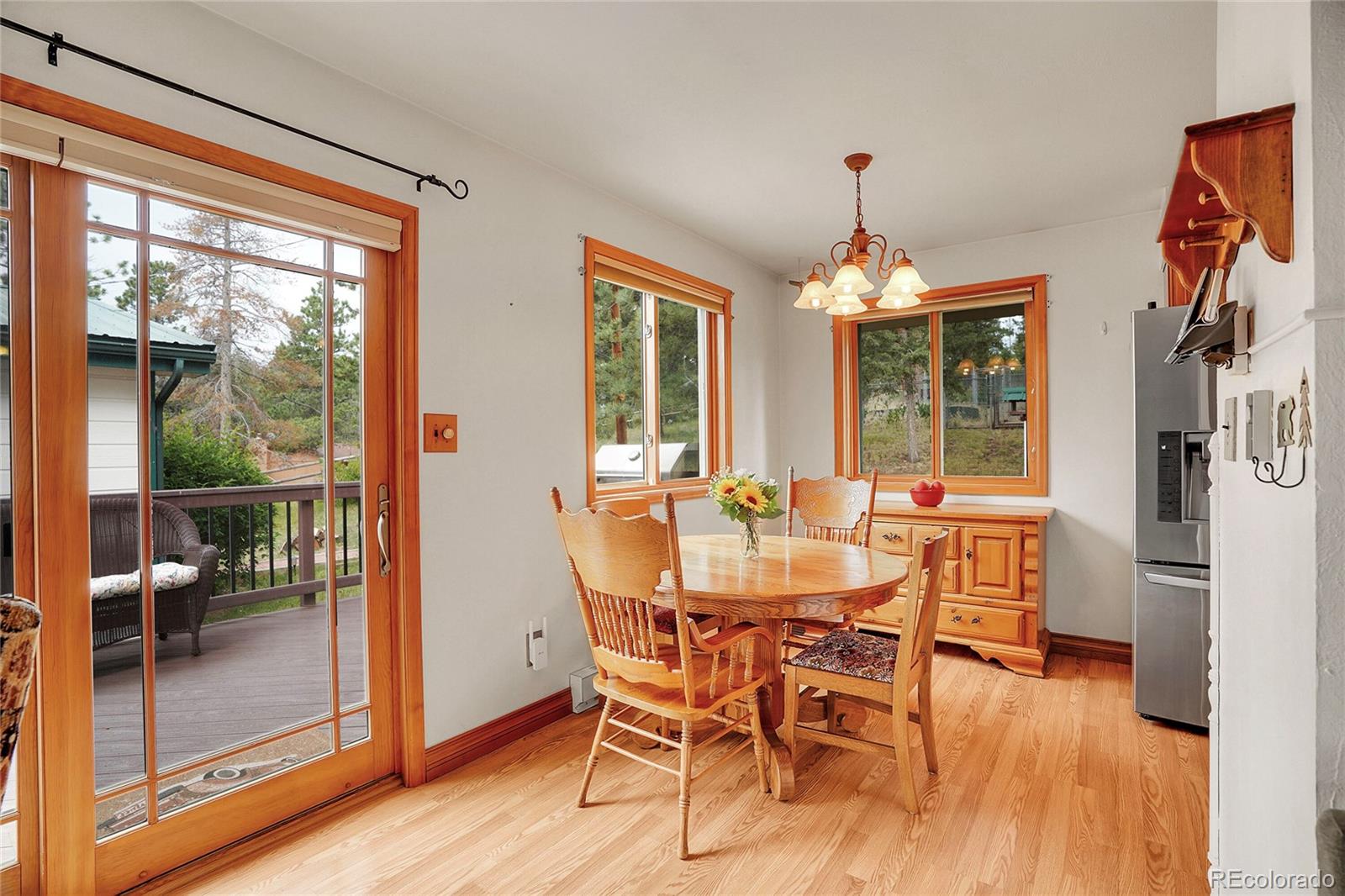 10951 Kitty Drive Conifer CO 80433