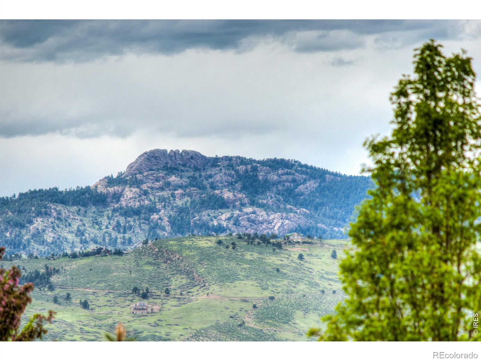 4833 Prairie Vista Drive Fort Collins CO 80526
