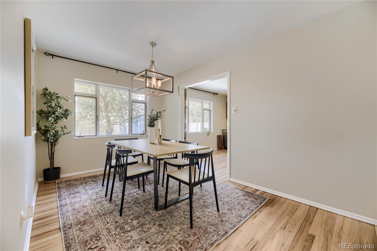 3265 S Newton Street Denver CO 80236