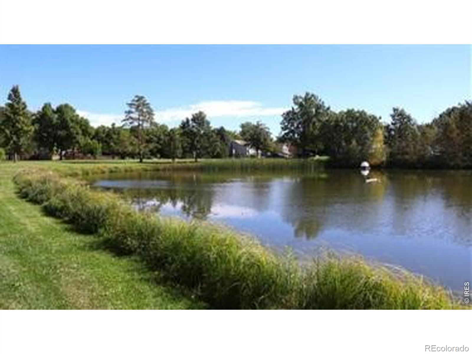 4526 Hibiscus Street Fort Collins CO 80526
