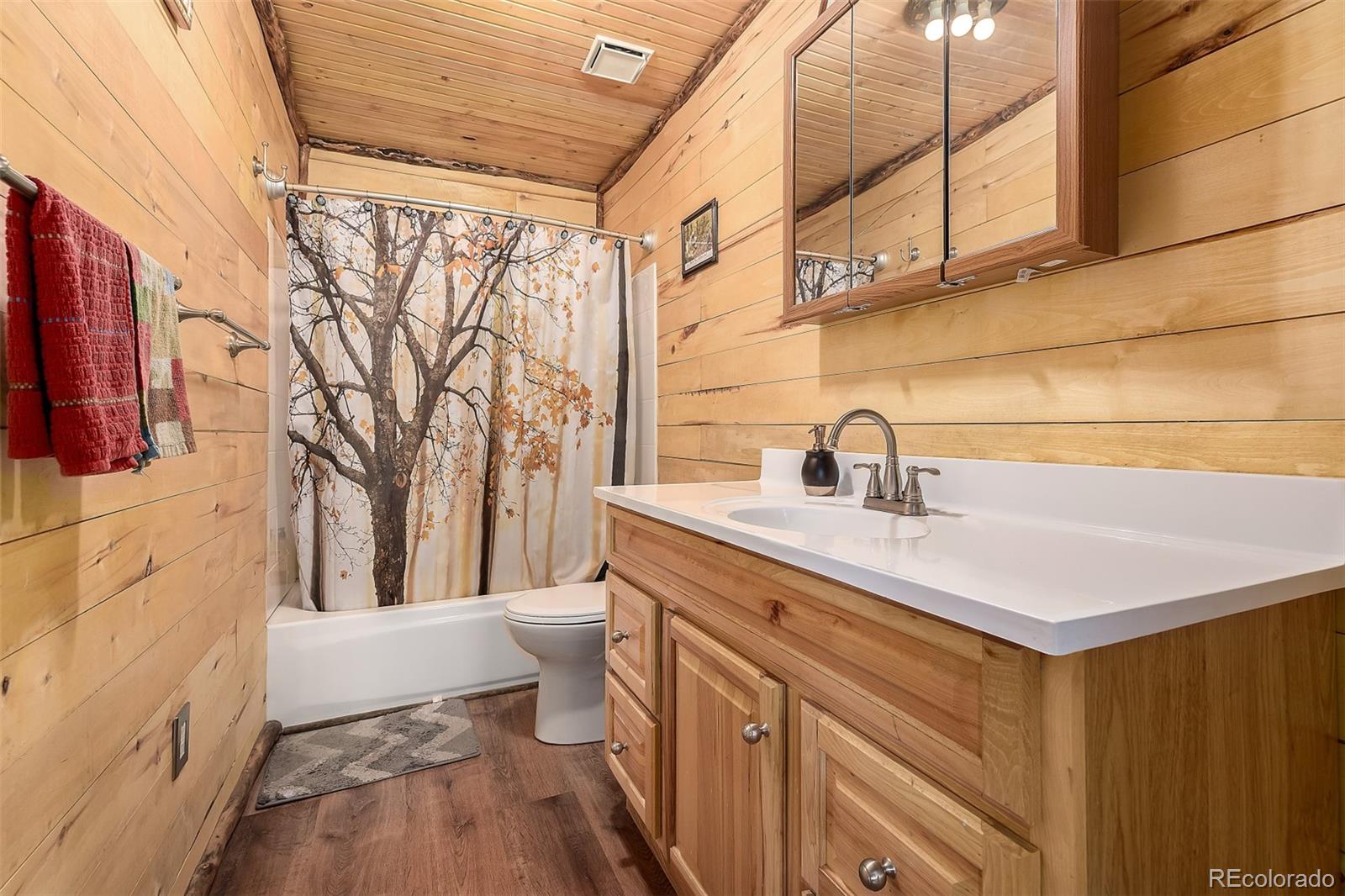 201 Lake Drive Florissant CO 80816