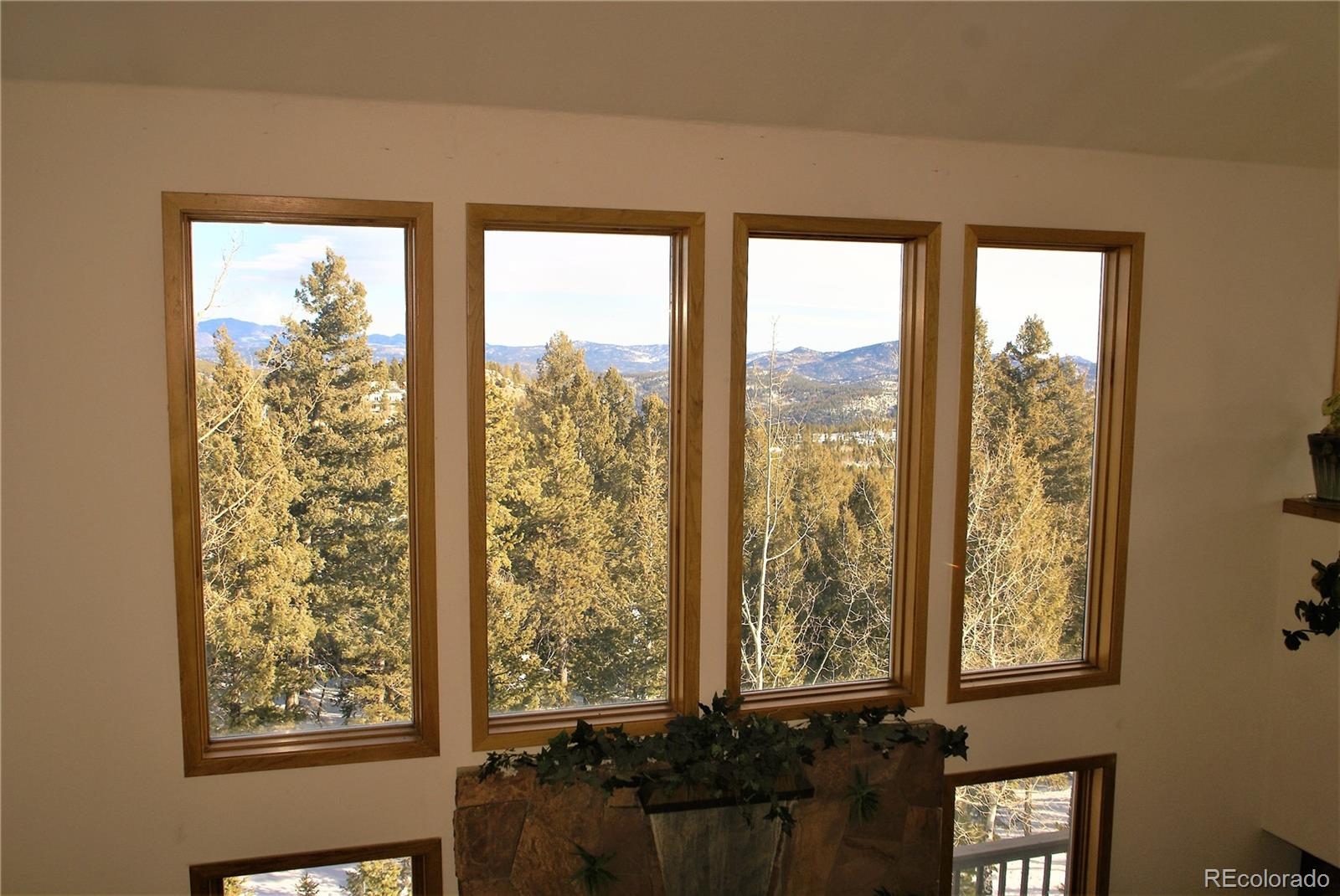 31371 Shadow Mountain Drive Conifer CO 80433