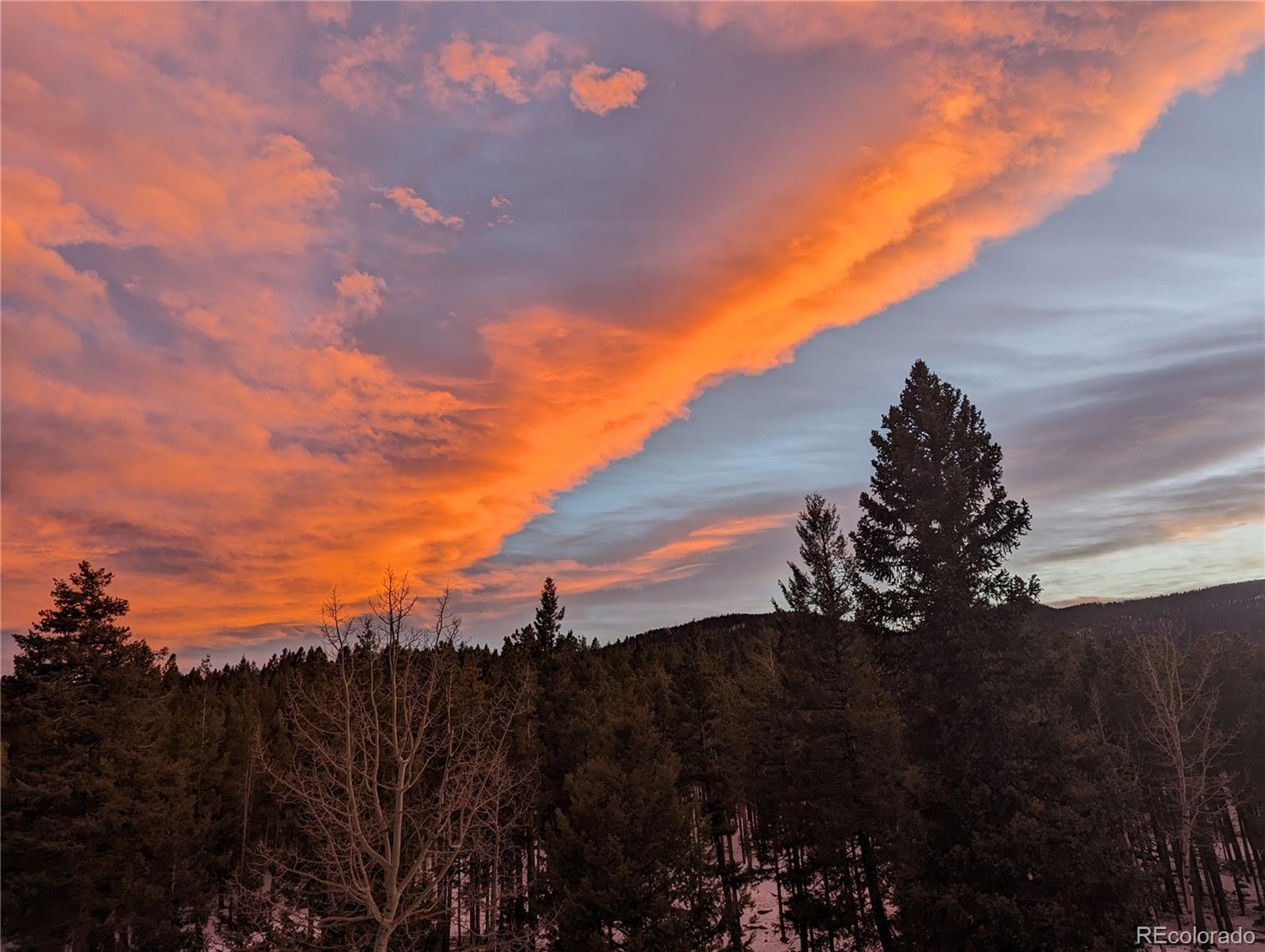 31371 Shadow Mountain Drive Conifer CO 80433
