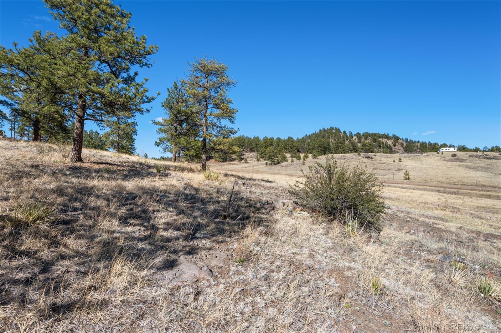 11 Valley Circle Guffey CO 80820