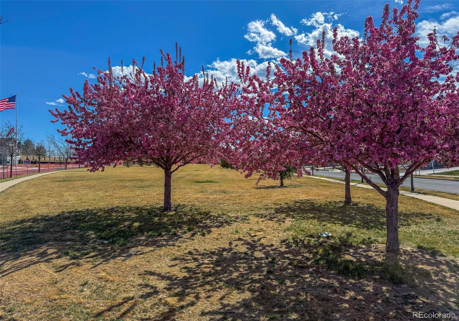 3789 Emerald Shore Circle Loveland CO 80538