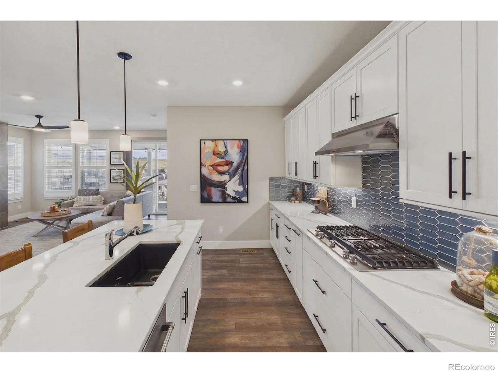 17433 W 93rd Place Arvada CO 80007