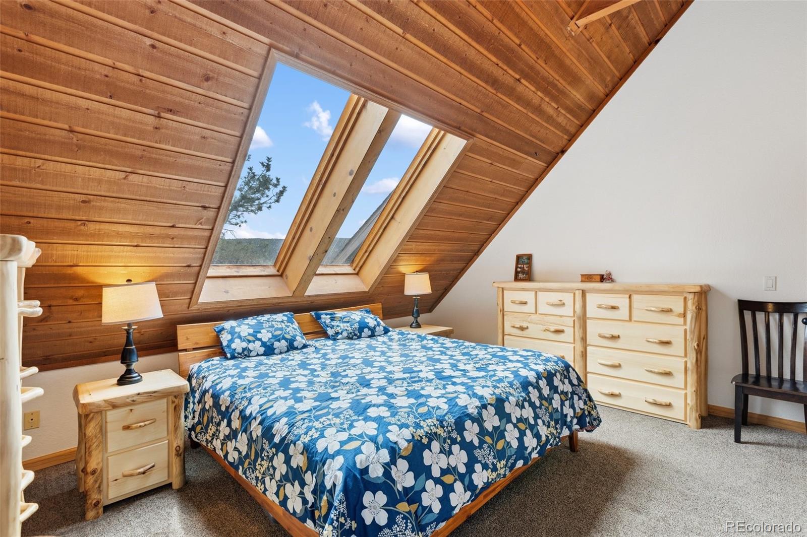 200 Sun Ridge Court Woodland Park CO 80863