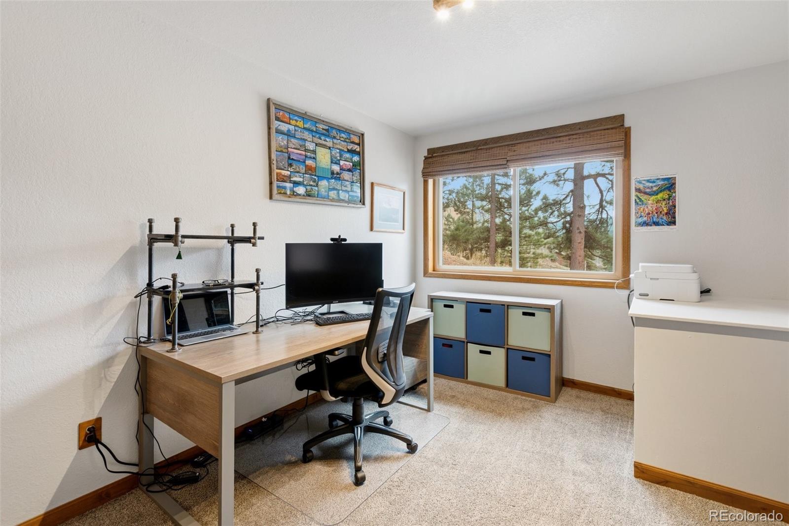 200 Sun Ridge Court Woodland Park CO 80863