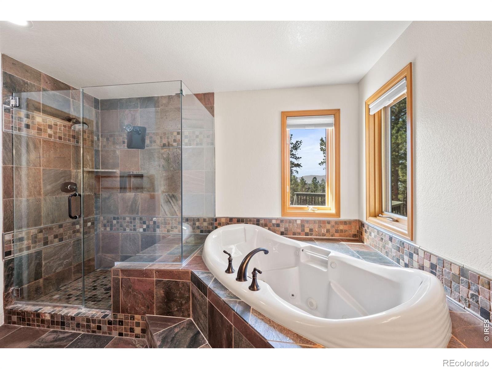 27291 Molly Drive Conifer CO 80433