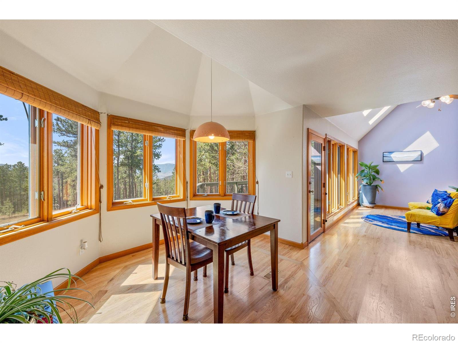 27291 Molly Drive Conifer CO 80433