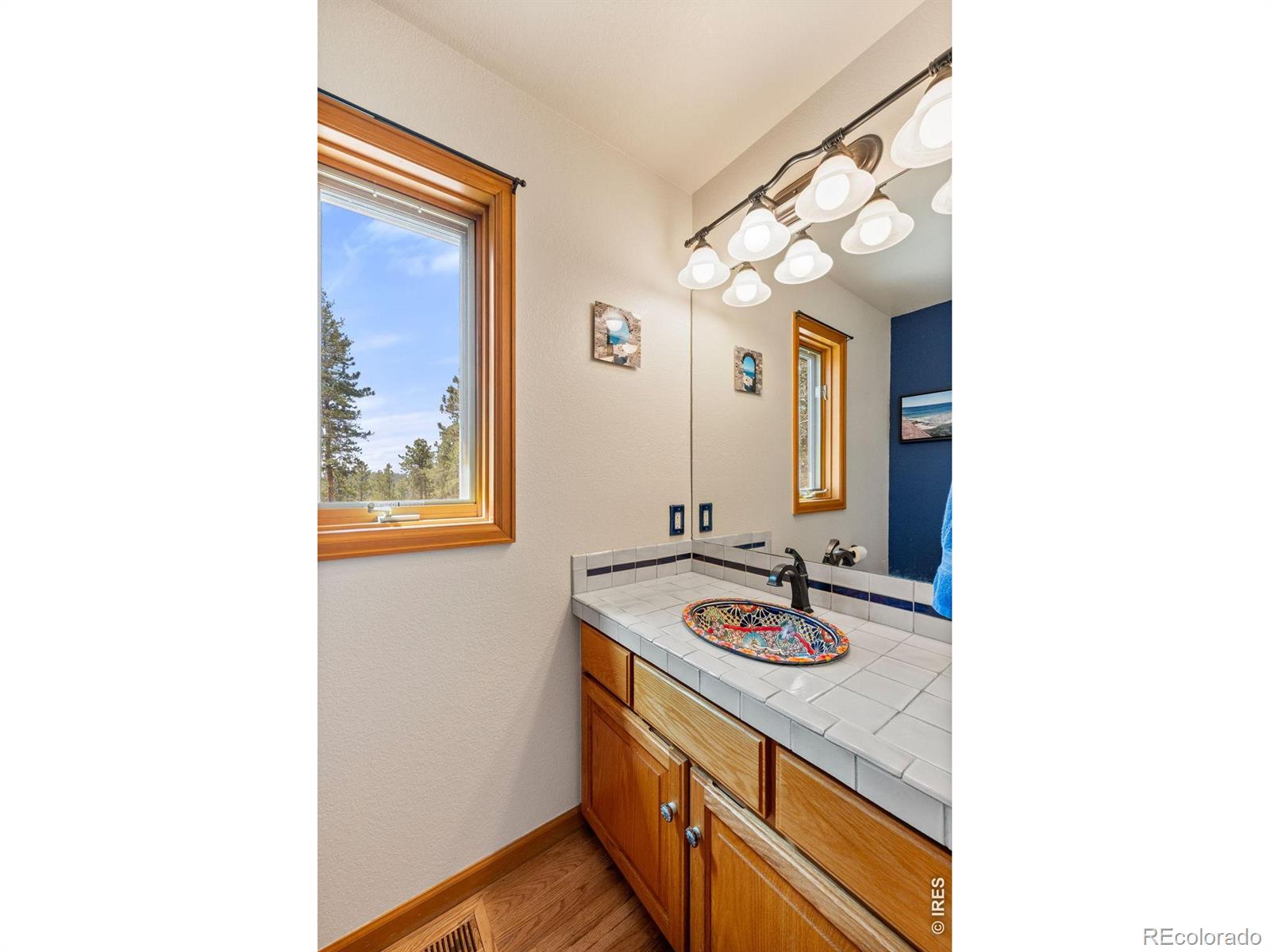 27291 Molly Drive Conifer CO 80433