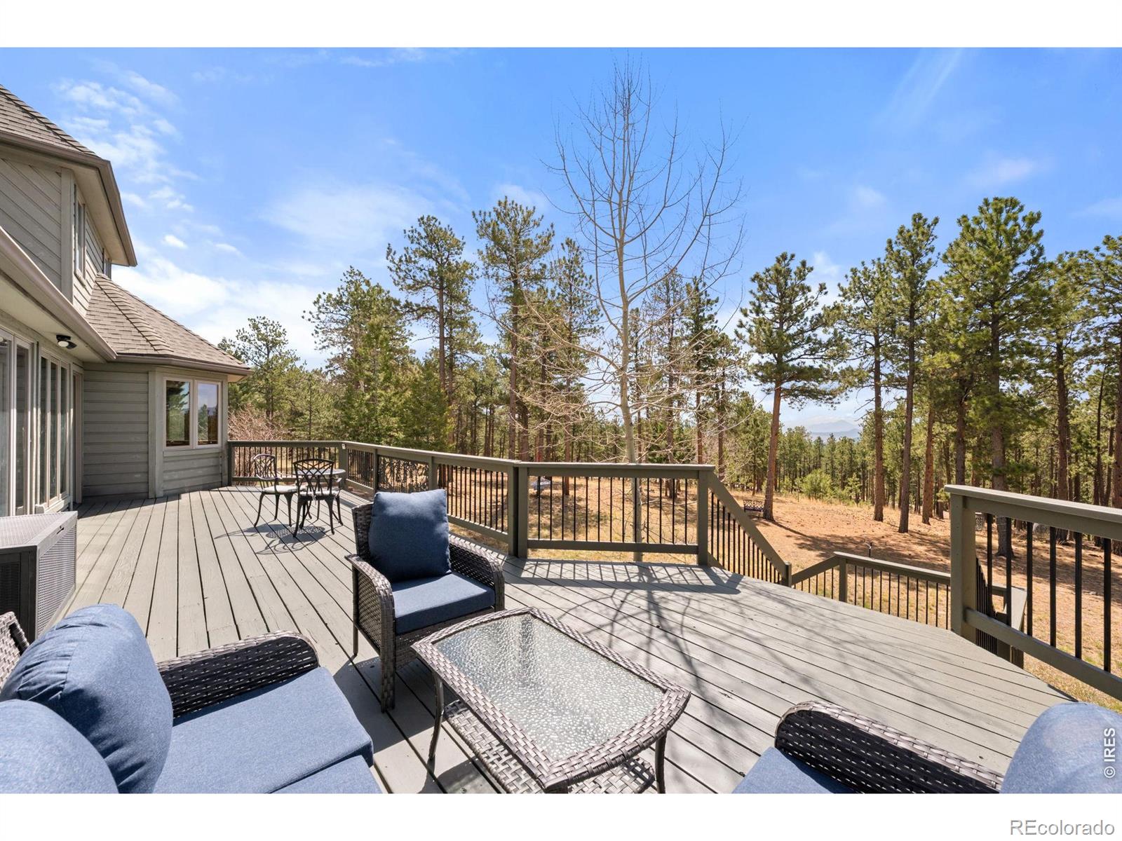 27291 Molly Drive Conifer CO 80433