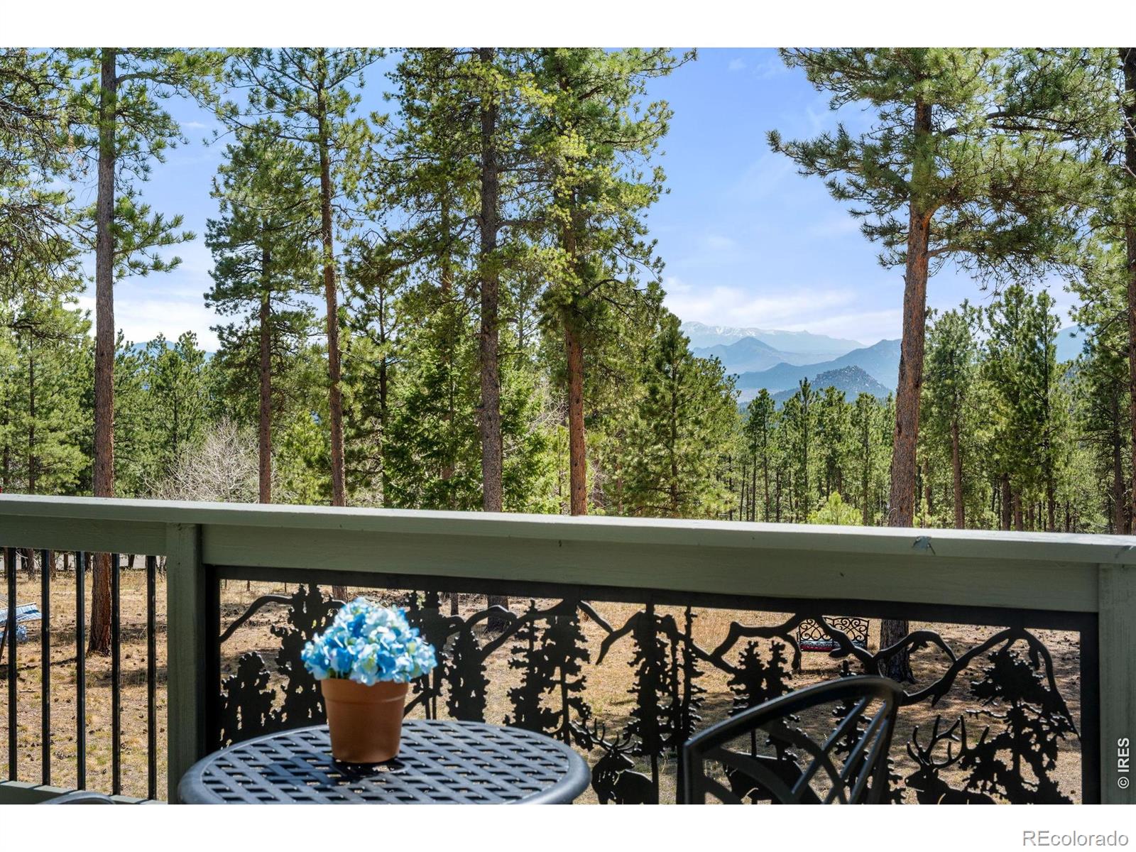 27291 Molly Drive Conifer CO 80433