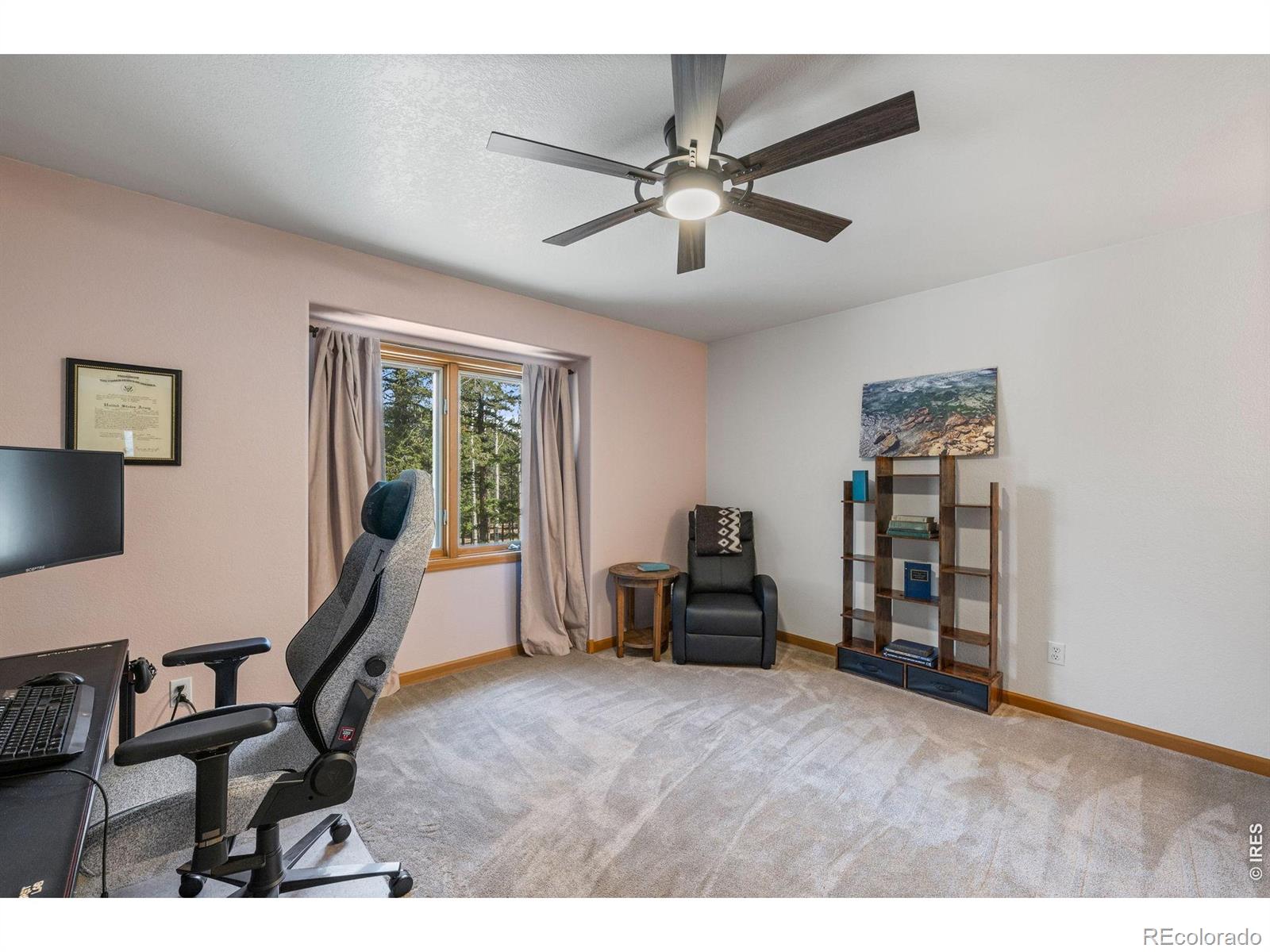 27291 Molly Drive Conifer CO 80433