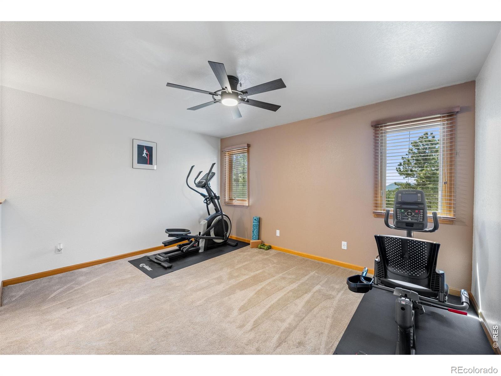 27291 Molly Drive Conifer CO 80433