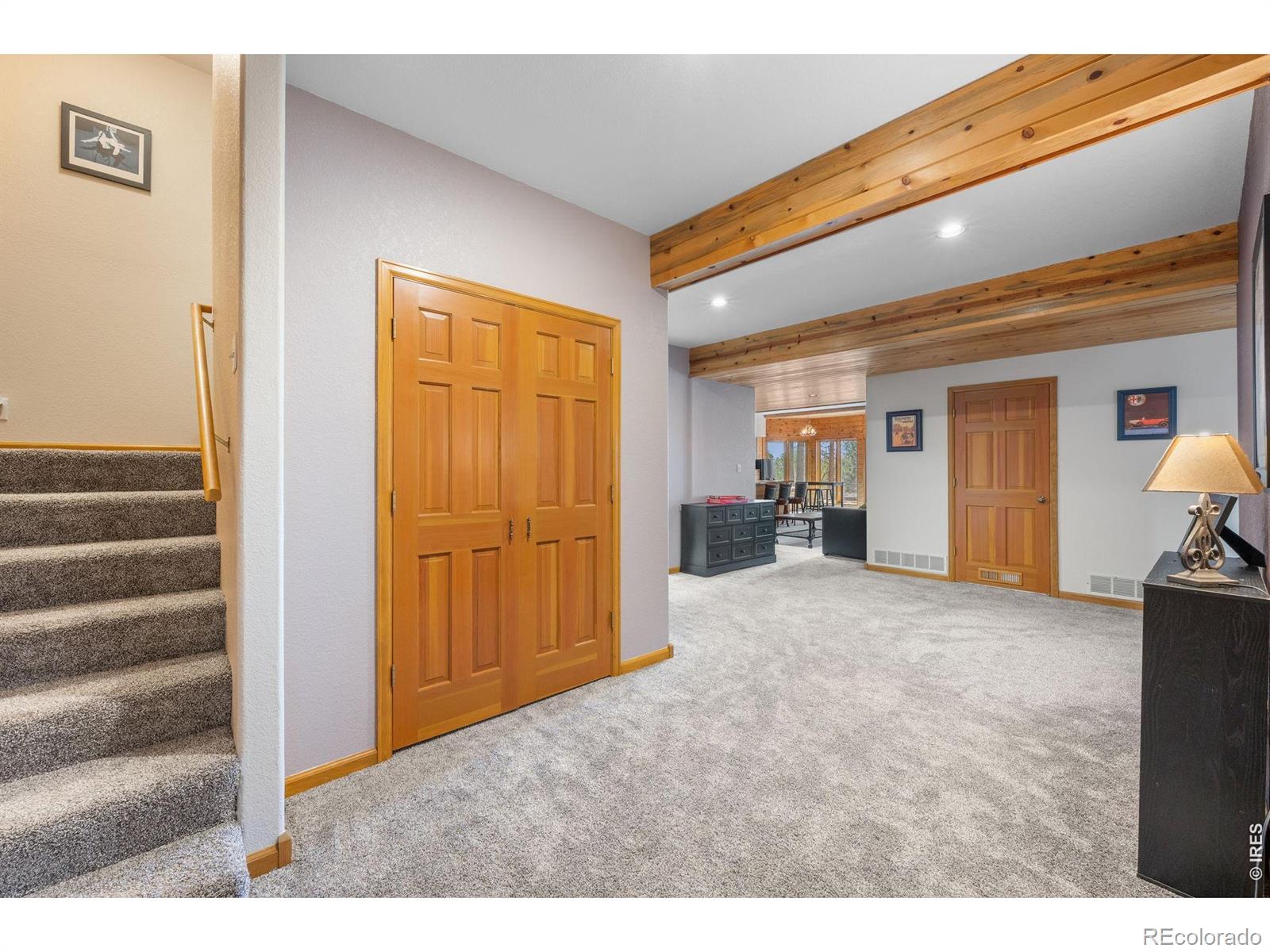 27291 Molly Drive Conifer CO 80433