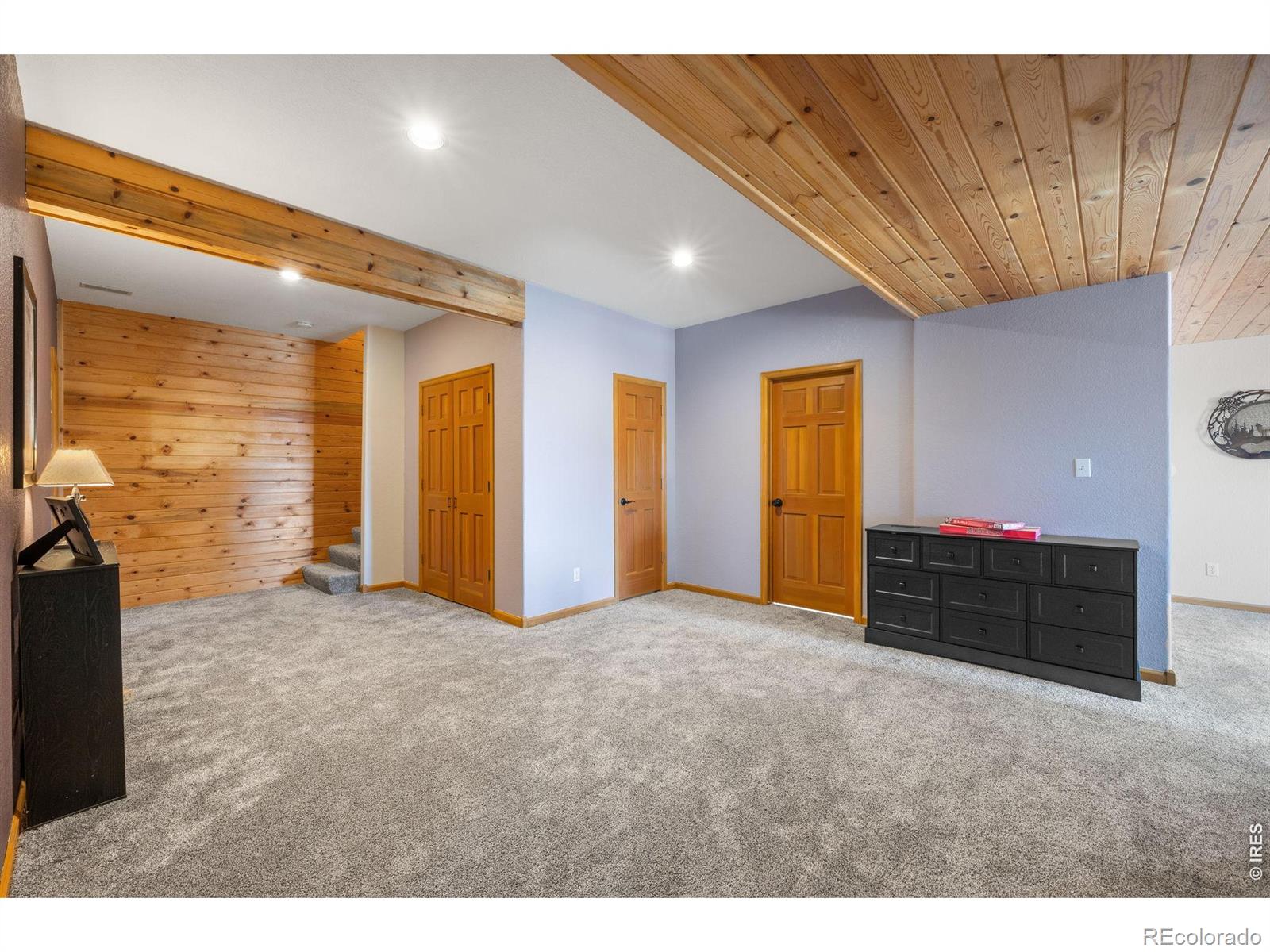 27291 Molly Drive Conifer CO 80433
