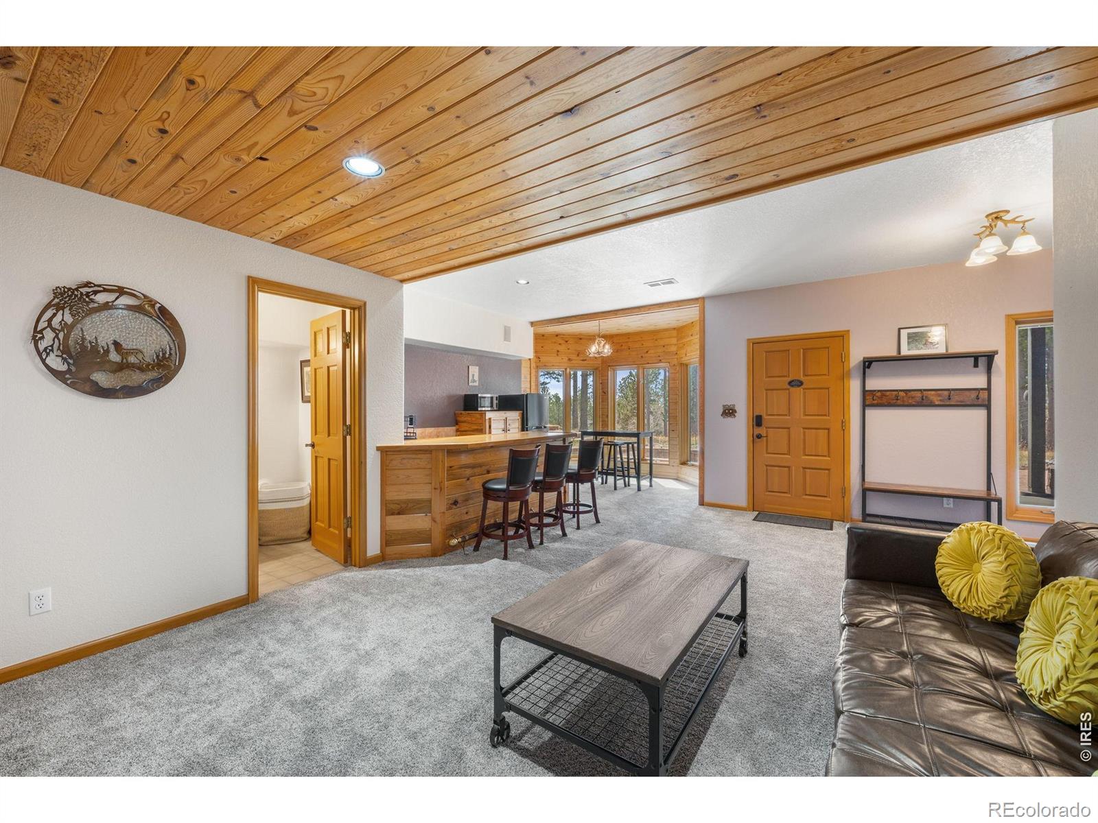 27291 Molly Drive Conifer CO 80433