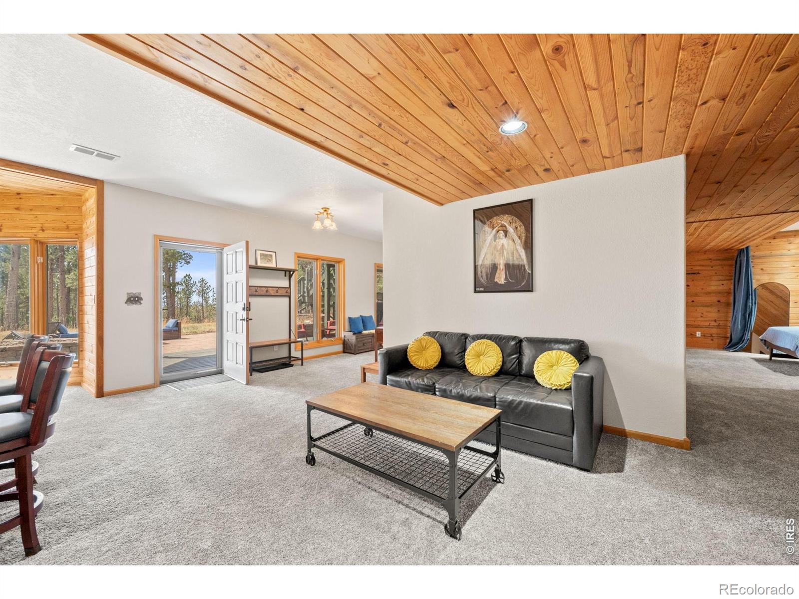 27291 Molly Drive Conifer CO 80433
