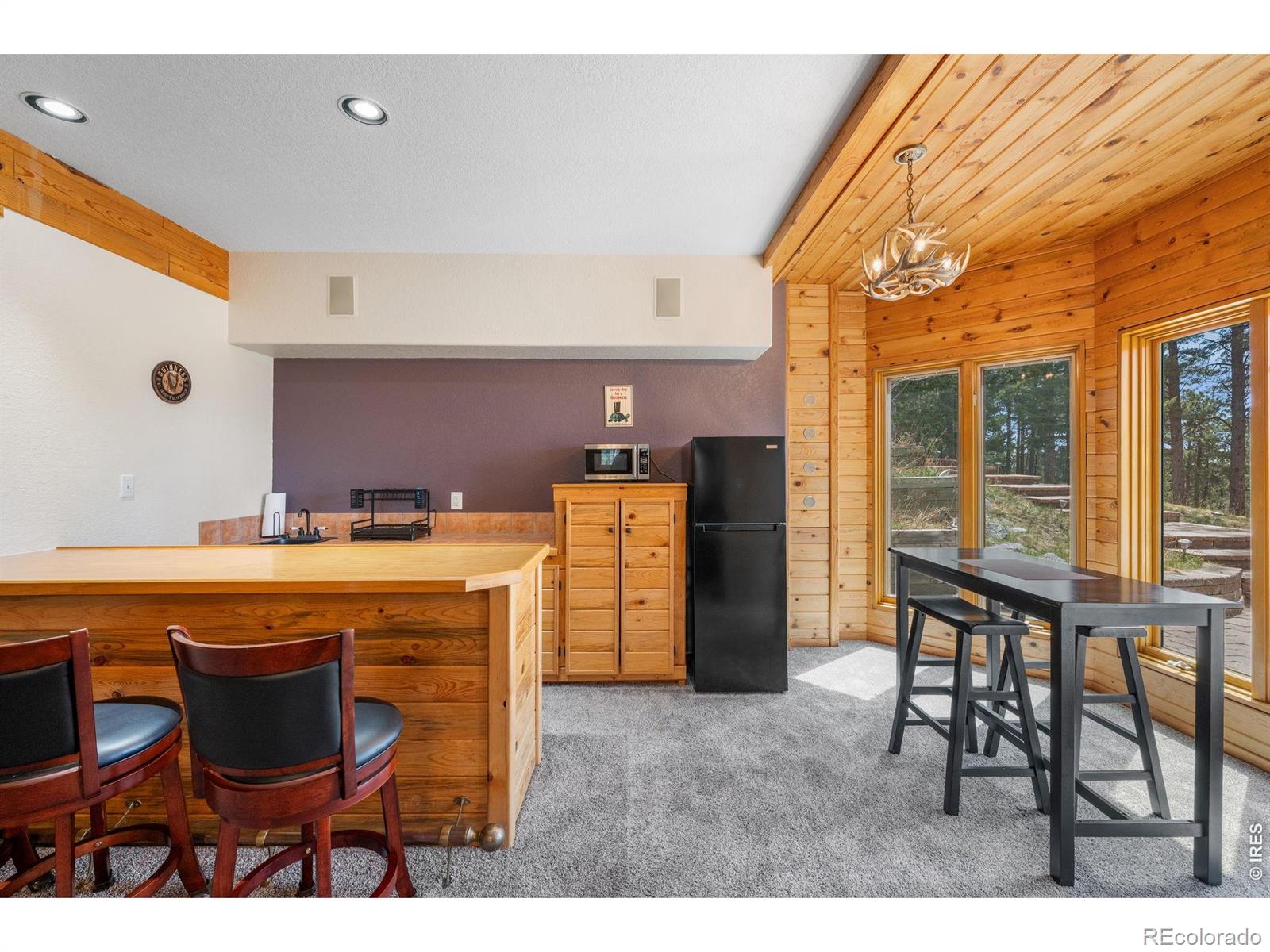 27291 Molly Drive Conifer CO 80433