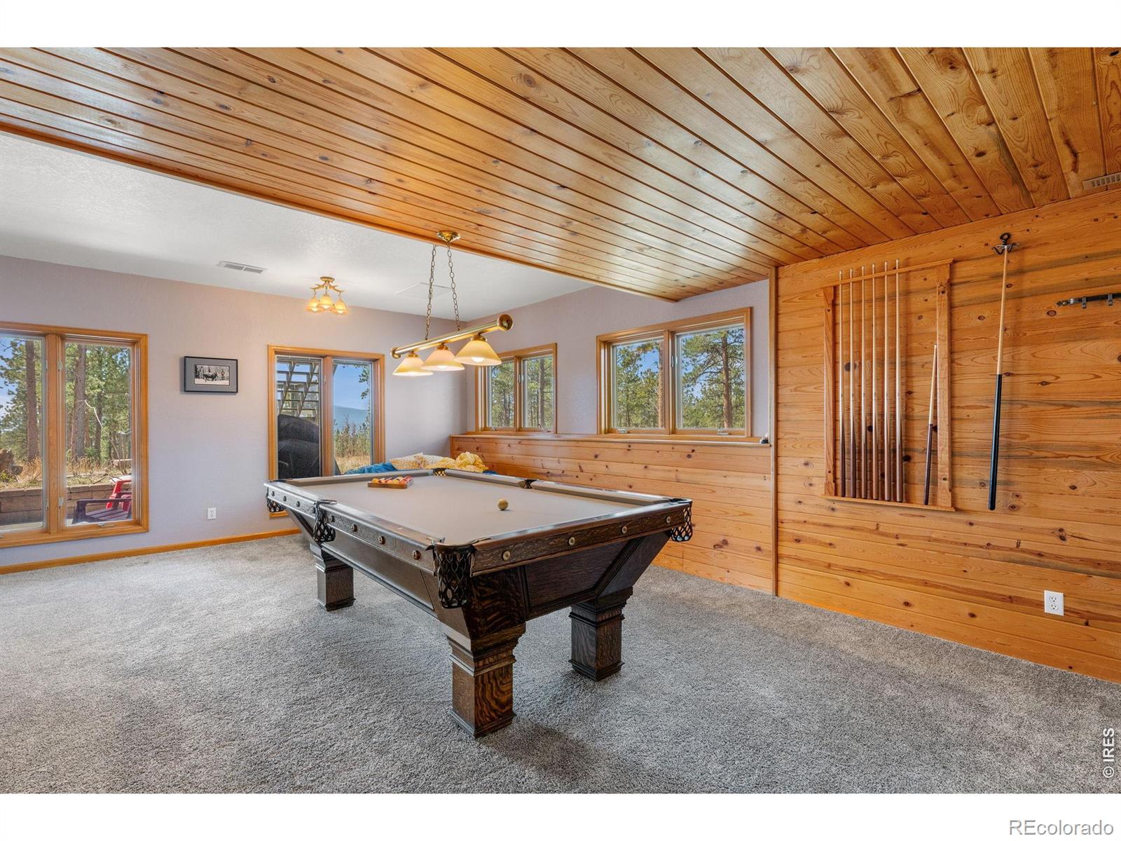 27291 Molly Drive Conifer CO 80433