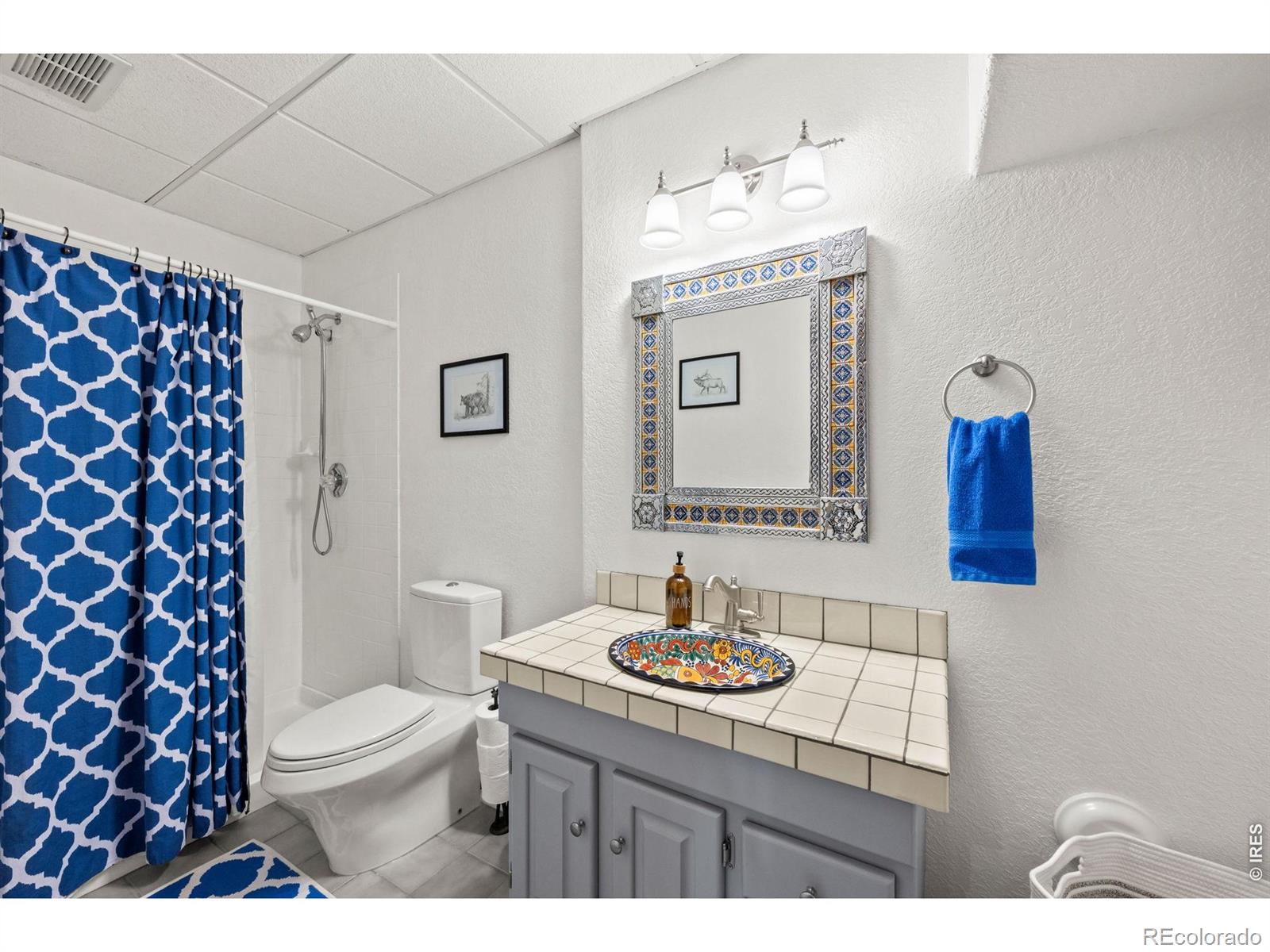 27291 Molly Drive Conifer CO 80433