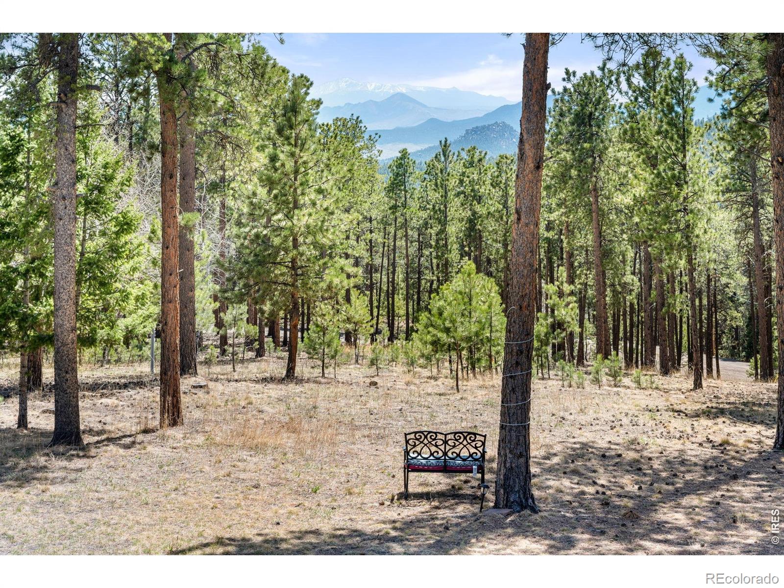 27291 Molly Drive Conifer CO 80433