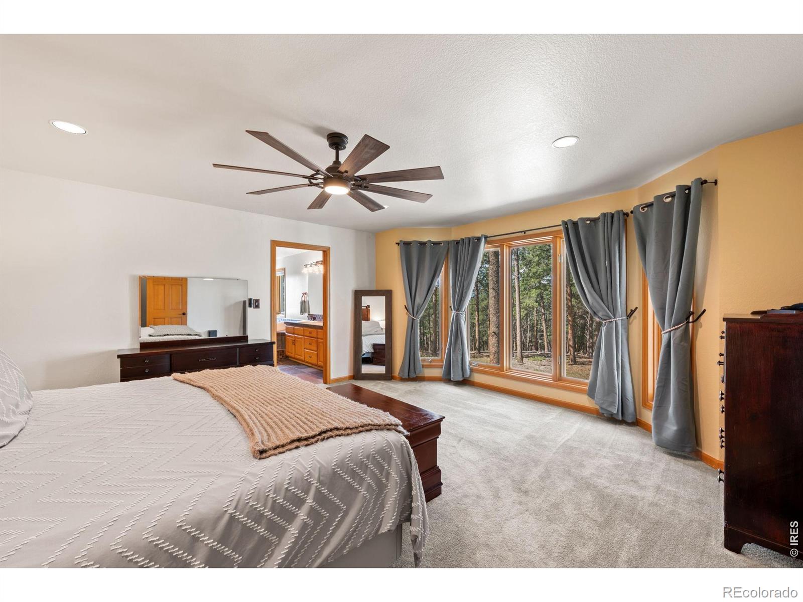 27291 Molly Drive Conifer CO 80433