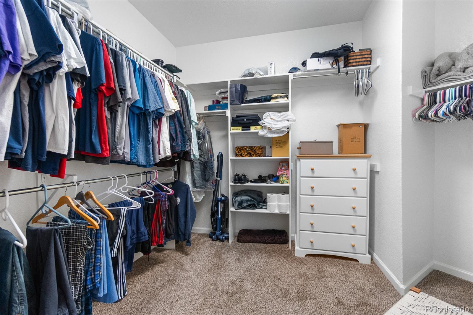 6576 Torrey Court Arvada CO 80007