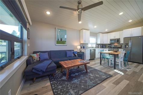 619 E 9th Street Leadville CO 80461