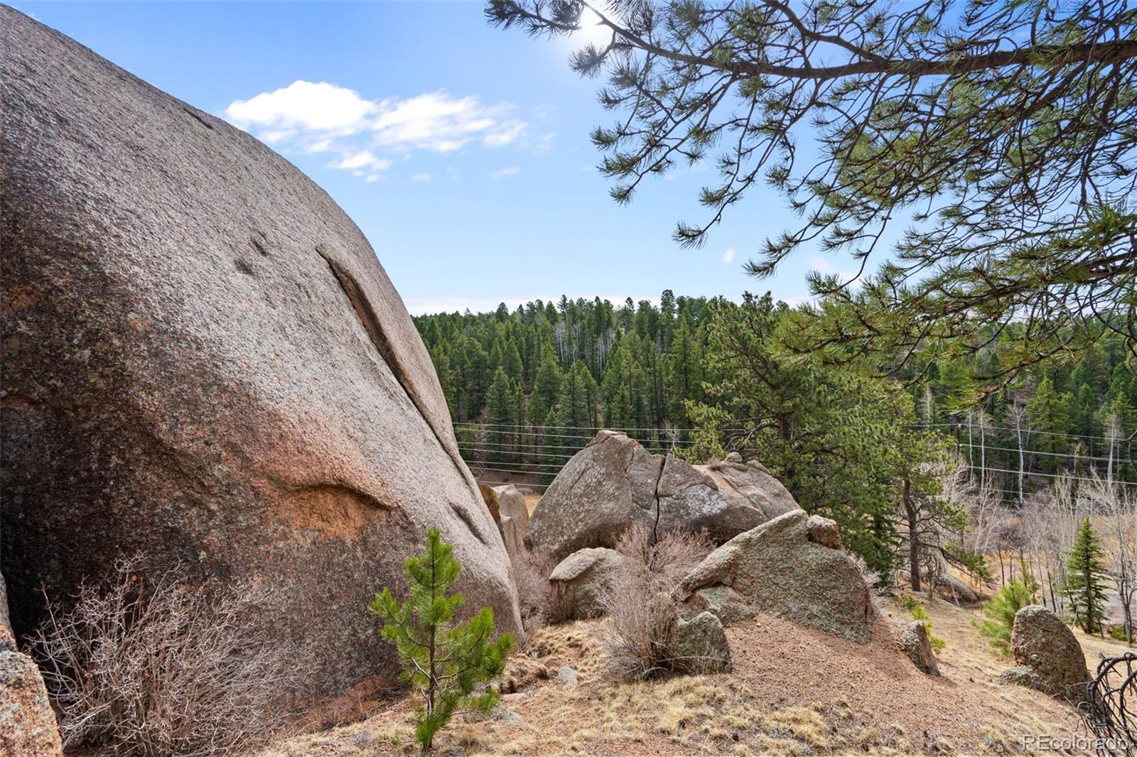 553 Arrowhead Road Florissant CO 80816