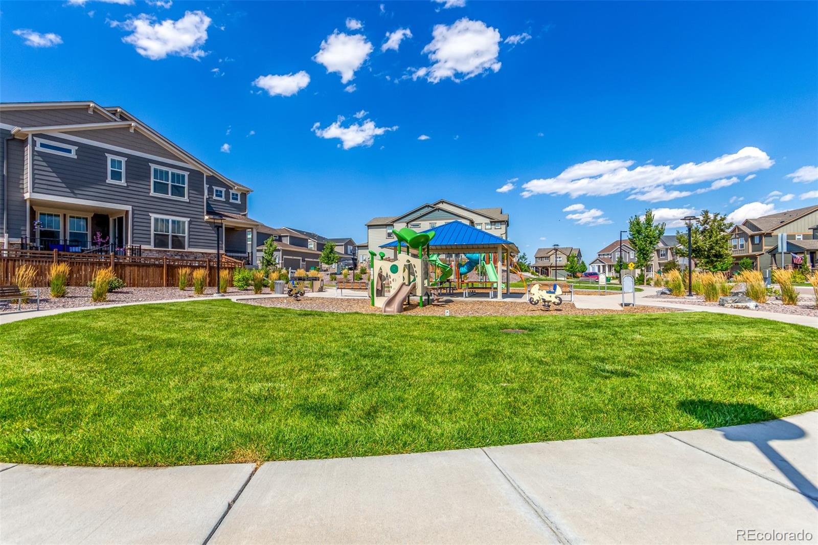 7153 Othello Street Castle Pines CO 80108