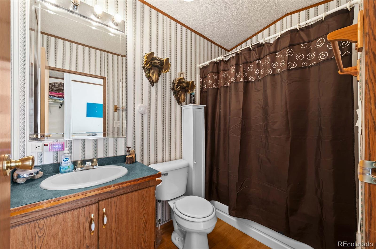 1838 17th Trail Cotopaxi CO 81223