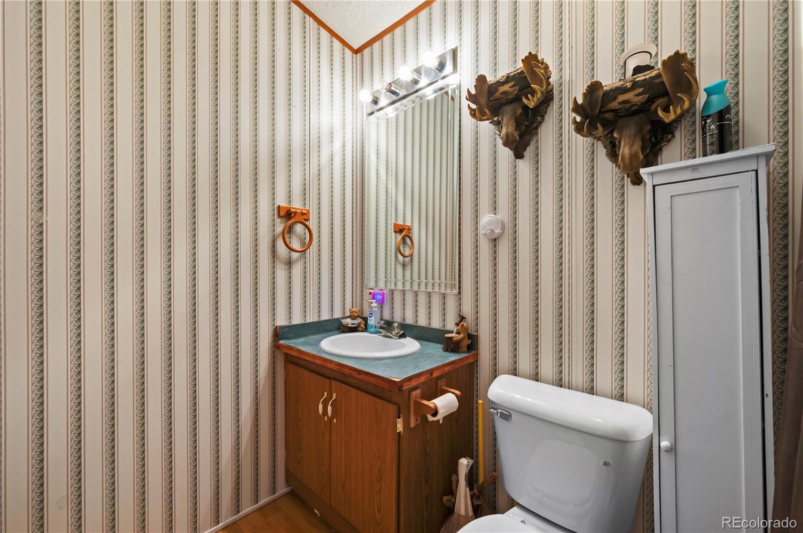 1838 17th Trail Cotopaxi CO 81223