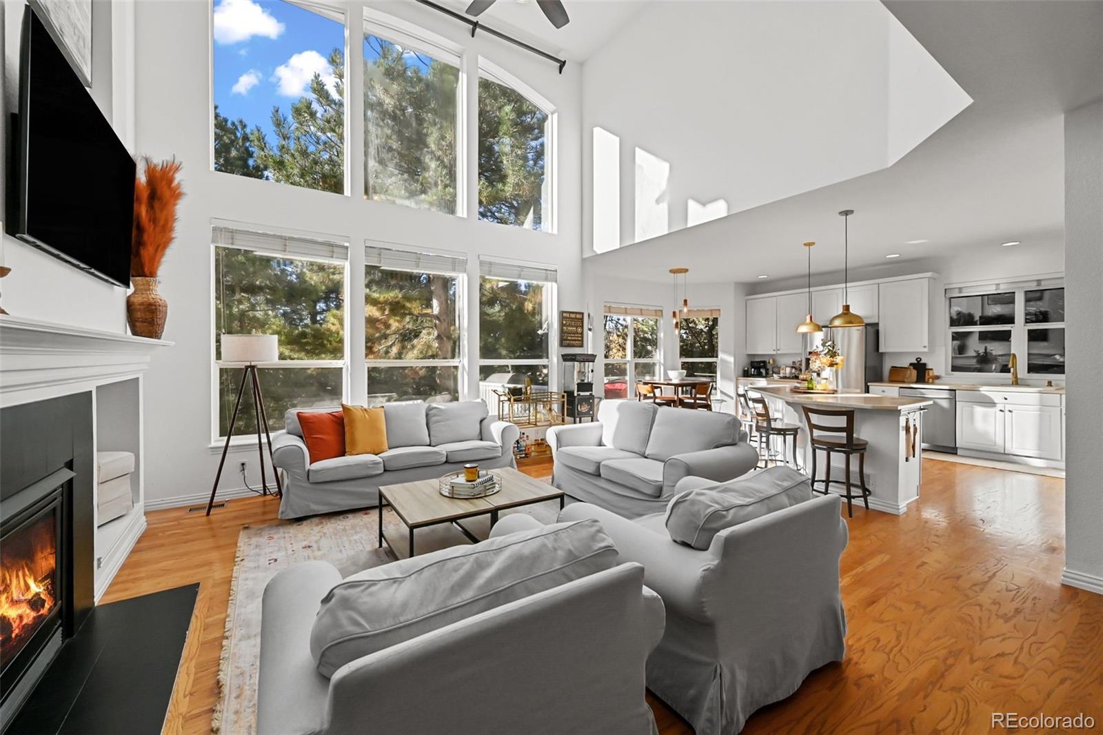 10107 Riverstone Drive Parker CO 80134