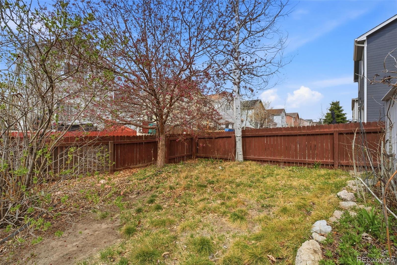 6112 Scottsbluff Drive Colorado Springs CO 80923