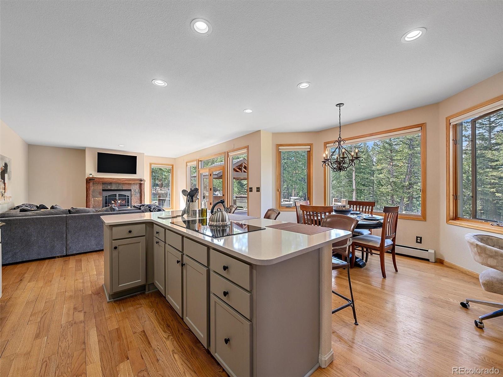 1434 Belford Court Evergreen CO 80439