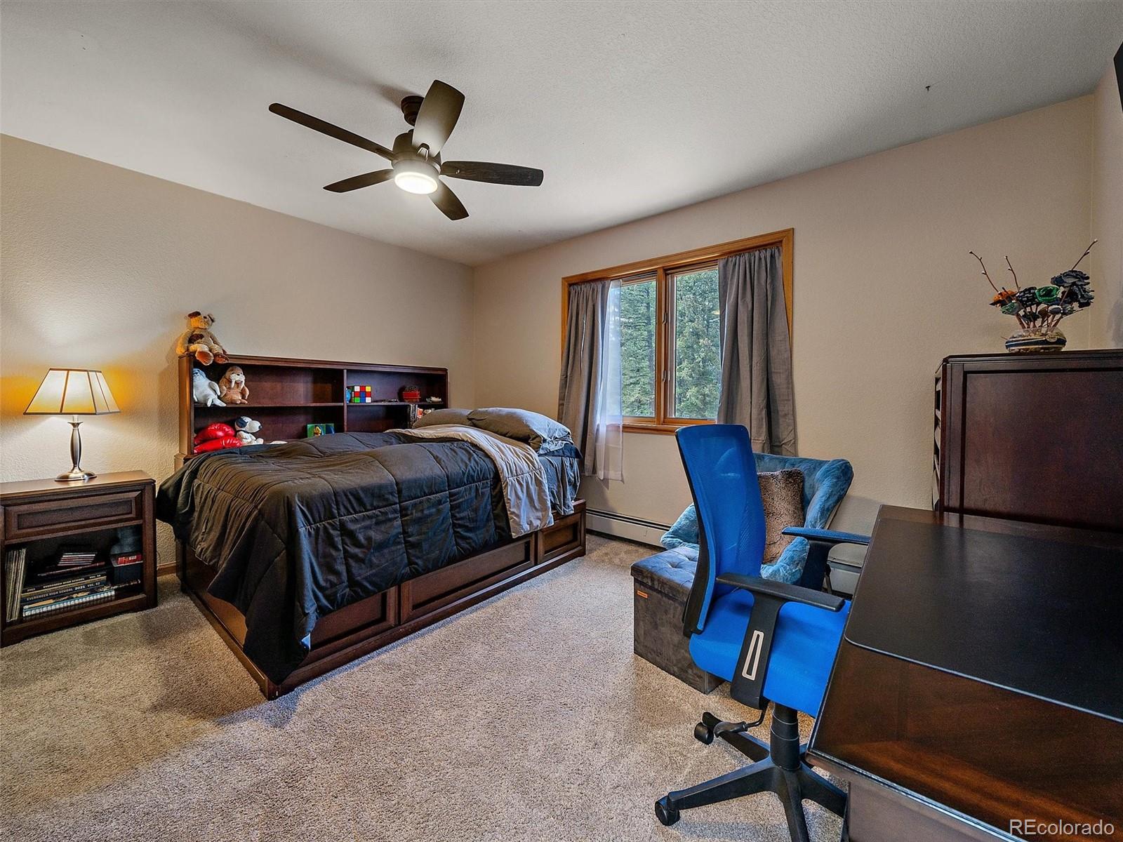 1434 Belford Court Evergreen CO 80439