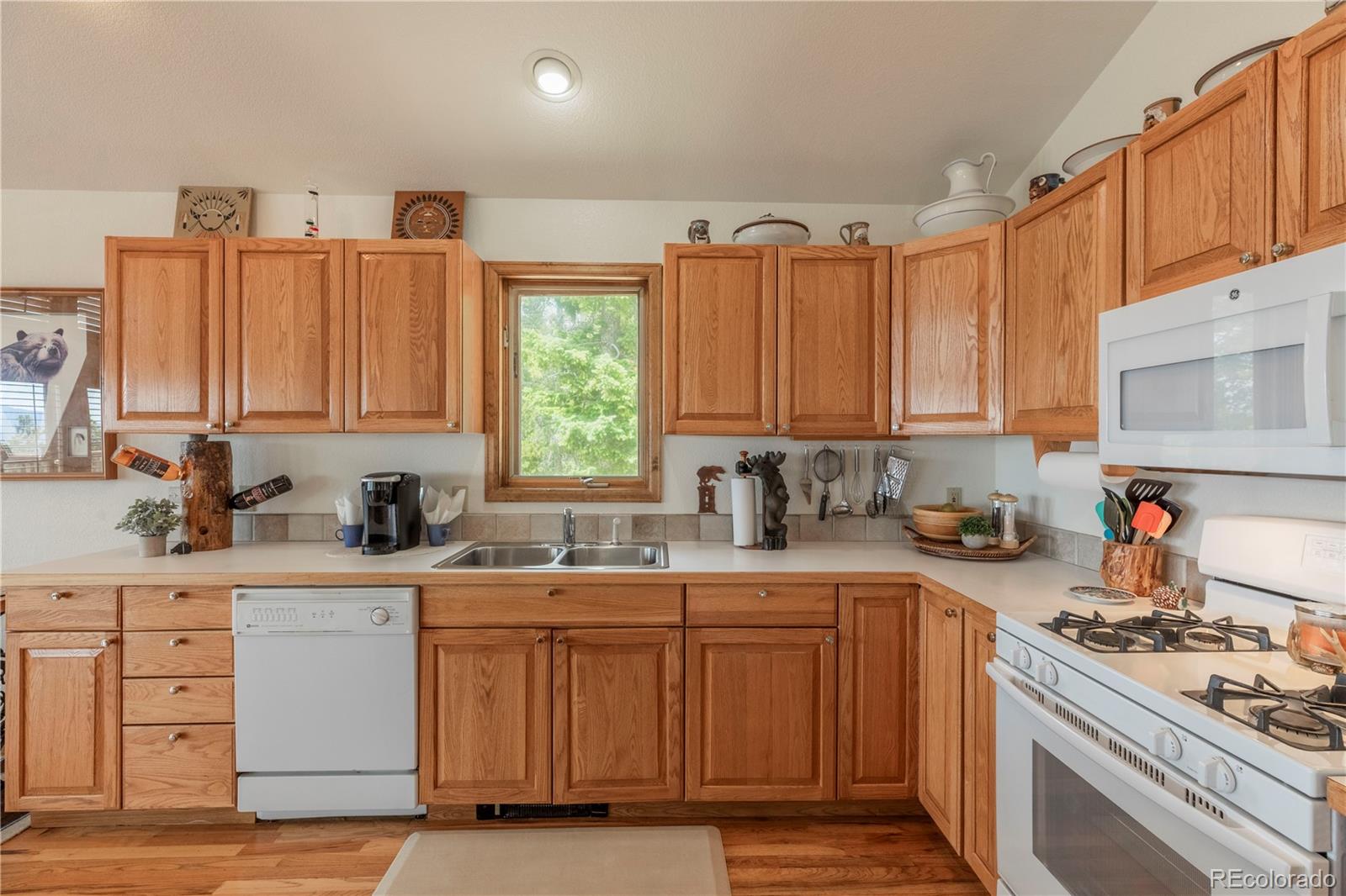 31320 Timothys Trail Conifer CO 80433