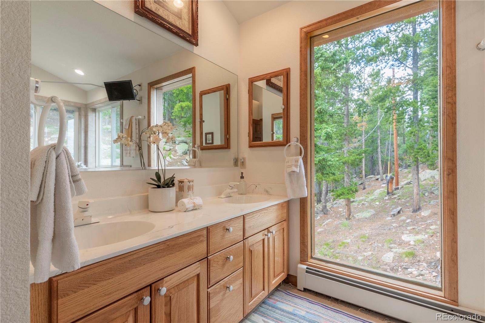 31320 Timothys Trail Conifer CO 80433