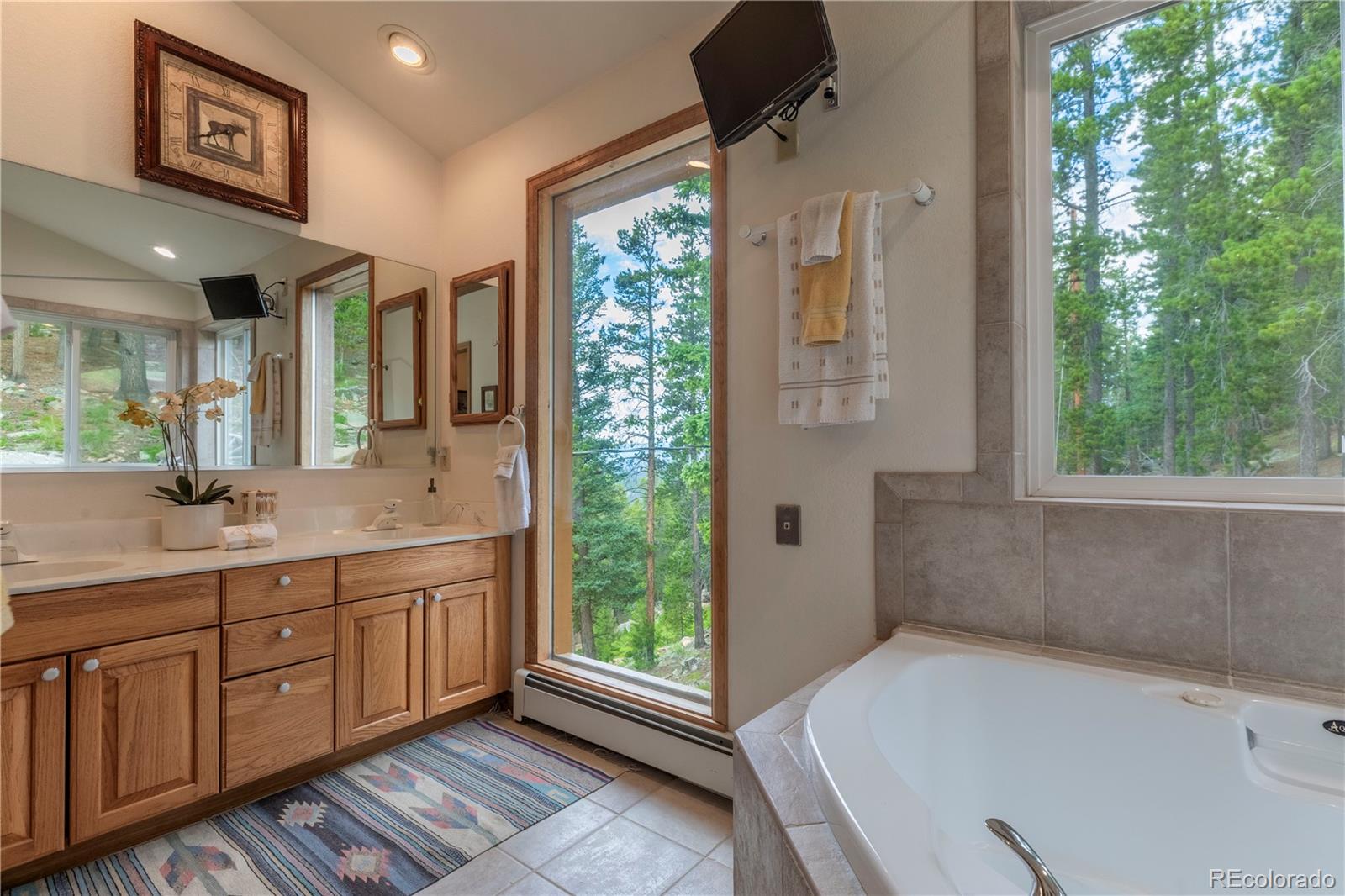 31320 Timothys Trail Conifer CO 80433
