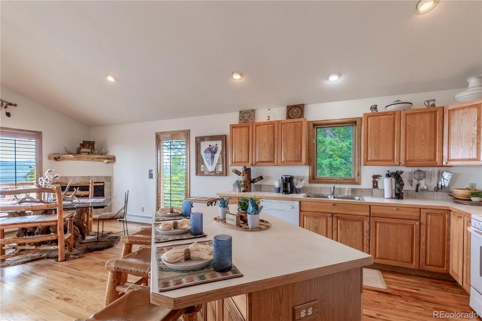 31320 Timothys Trail Conifer CO 80433
